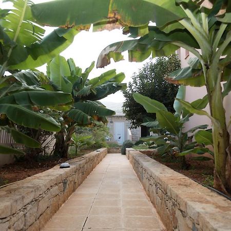 Sunset Apartments Malia  Luaran gambar